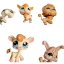 Lot de 5 Littlest Petshop d'occasion - Hasbro - Dès 4 ans | Jeu Change